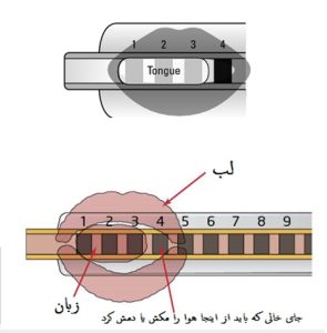 قرارگیری لب